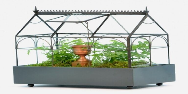 Preparing Your Glass Terrarium for Planting
