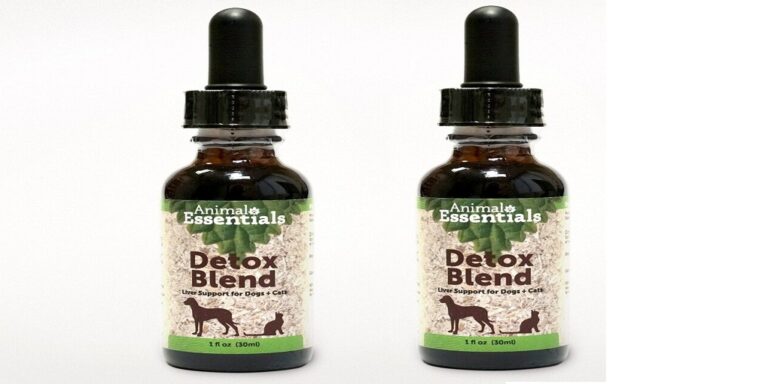 How to Provide Natural Allergy Relief for Dogs?